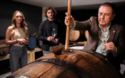 Winemaking – Art, Science, Magic or Technology?