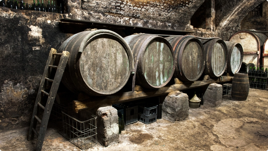 The Popularity of Craft Beer Rises Every Year