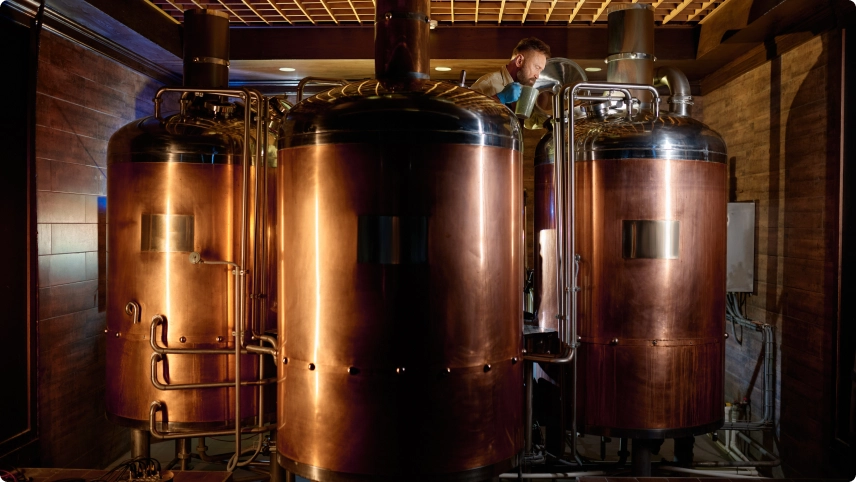 The Process Behind Our Award-Winning Wines